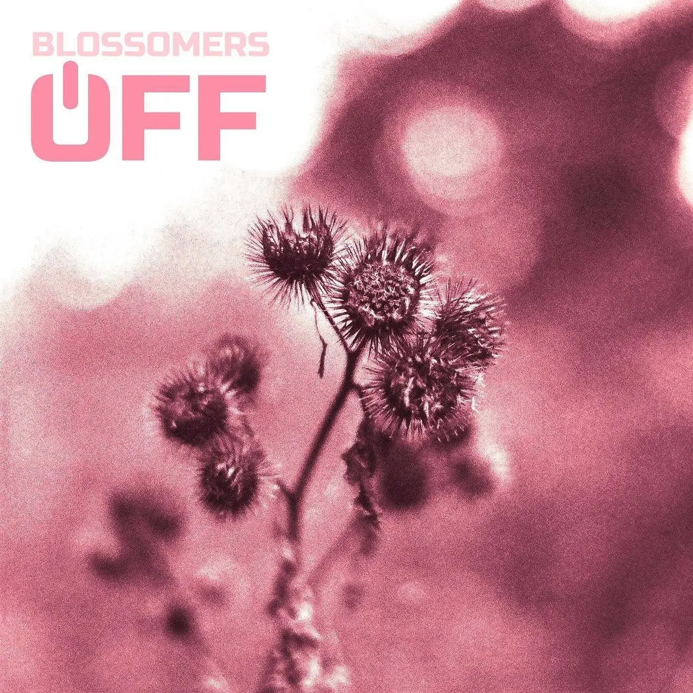 Cover artwork: Blossomers — Off